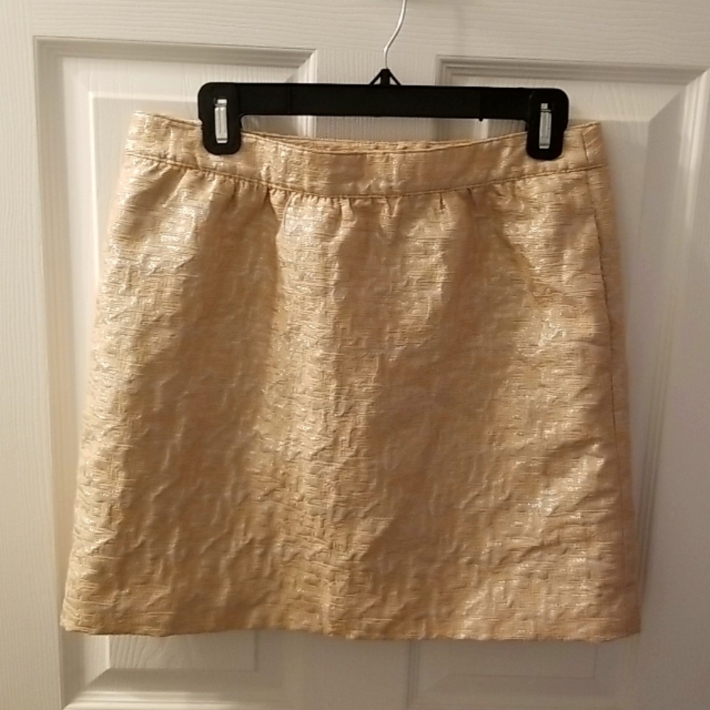 Pink/silver skirt